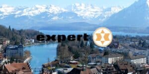 expert