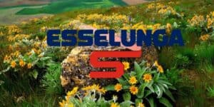esselunga