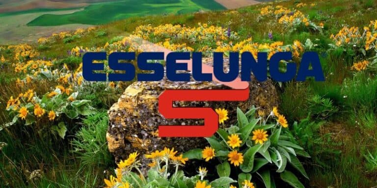 esselunga