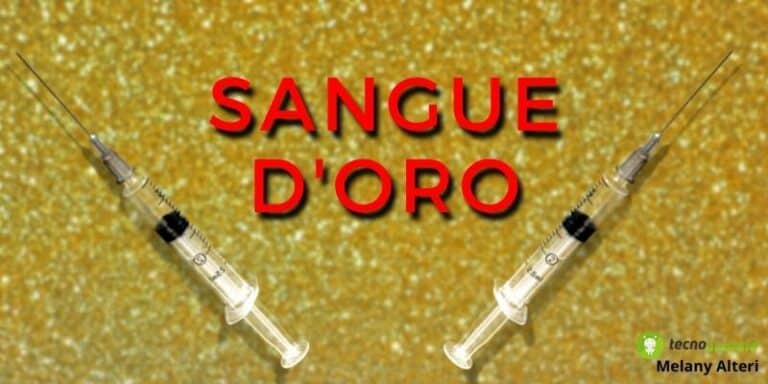 Sangue d'oro: il raro gruppo sanguigno è perfetto per le trasfusioni