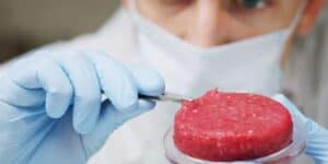 carne laboratorio