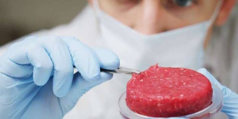 carne laboratorio