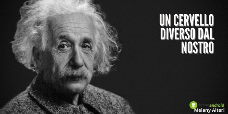 Einstein: ecco il dettaglio che rende inimitabile il cervello del fisico