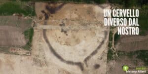 Roundel: emersa una città fantasma risalente a più di 7.000 anni fa