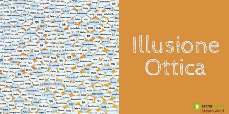Illusione Ottica: vi sfidiamo a trovare il telefono in questa immagine