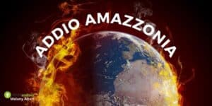 Allarme WWF: addio Amazzonia ed animali presenti sul Pianeta