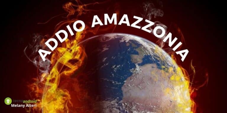 Allarme WWF: addio Amazzonia ed animali presenti sul Pianeta