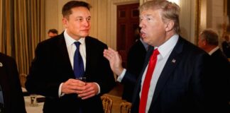 Elon Musk farà ritornare Trump su Twitte