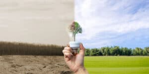 I sistemi eco-sostenibili sono il futuro