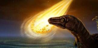 L’asteroide che ha estinto i dinosauri
