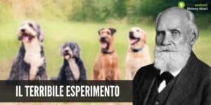 Esperimenti sui cani: quello di Ivan Pavlov fa ancora accapponare la pelle