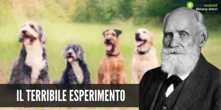 Esperimenti sui cani: quello di Ivan Pavlov fa ancora accapponare la pelle