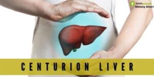Centurion Livers: i fegati centenari esistono ed è merito della scienza