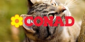 conad