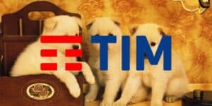 tim