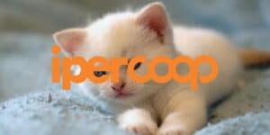 coop