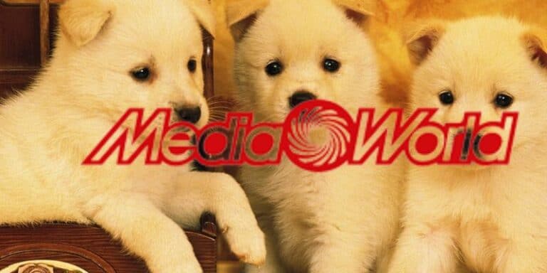 mediaworld