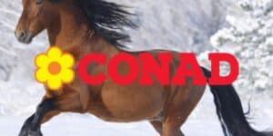 conad