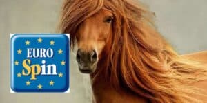 eurospin
