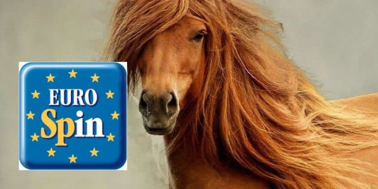 eurospin