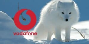 vodafone