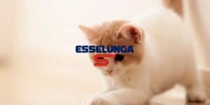 esselunga