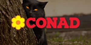 conad