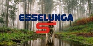 esselunga