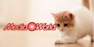 mediaworld