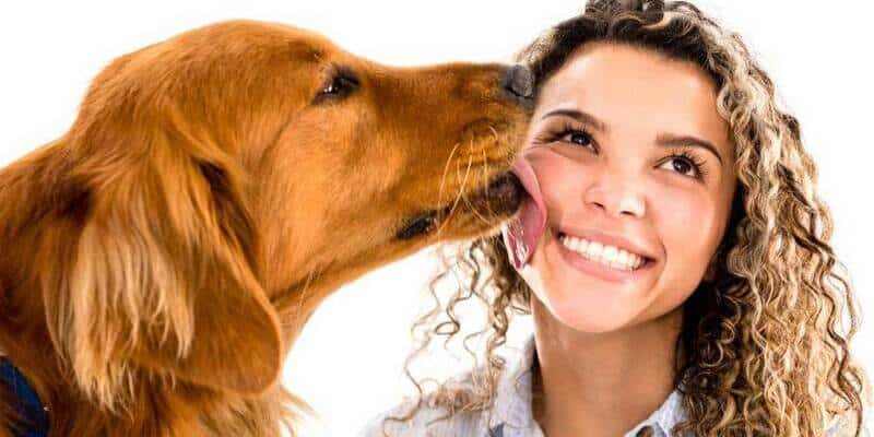 cane-lecca-viso