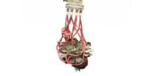 robot tentacolare