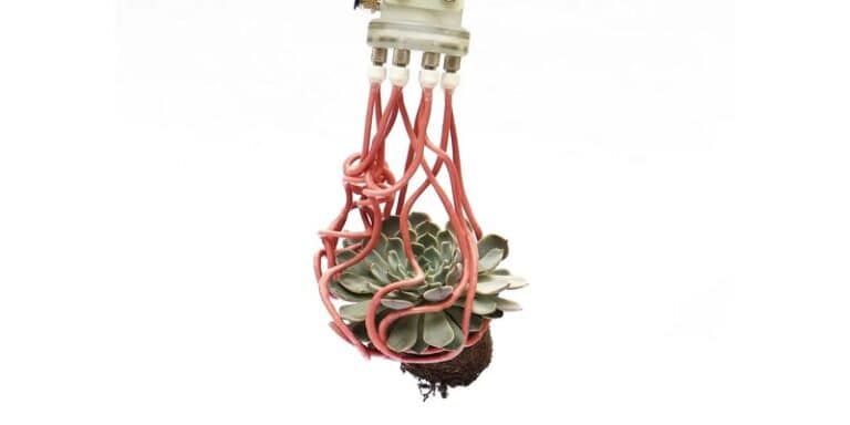 robot tentacolare