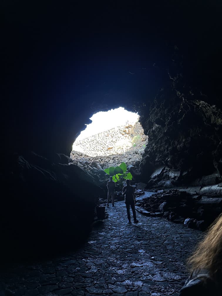 IMG_7764