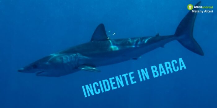 Squalo Mako: pesce da 150 chili sale erroneamente su una barca di pescatori
