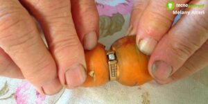 Anello scomparso: quando la casa non ruba ma nasconde e "coltiva"