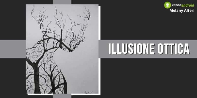 Illusione Ottica: quello che vedi nella foto rivela ciò che sei