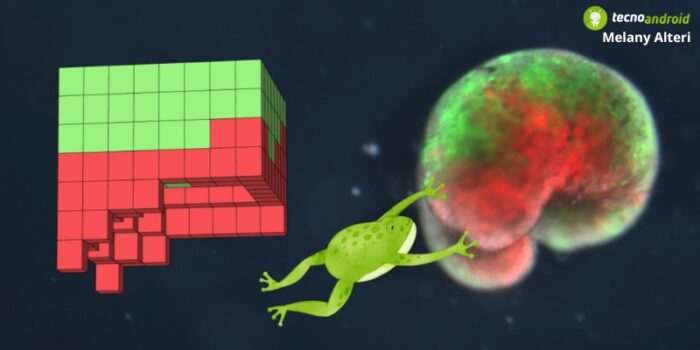 Intelligenza Artificiale: nel 2022 gli animali e le piante robot sanno riprodursi