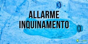 Inquinamento: plastica trovata nei luoghi più inconcepibili