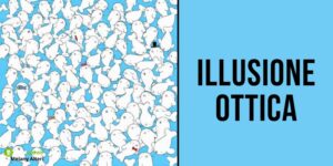 Illusione Ottica: hai 10 secondi per scovare il marshmallow tra le foche