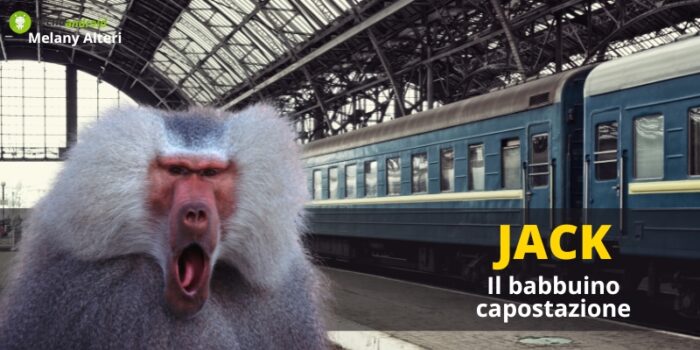 Animali: una volta a fare da capostazione c'era un babbuino