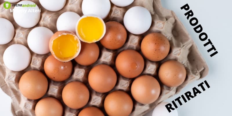Prodotti ritirati: torna la Salmonella ma stavolta non nelle uova Kinder