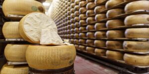 Parmigiano Reggiano, Parmigiano, Grana Padano, Ministero della Salute, richiamo