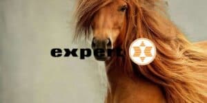 expert