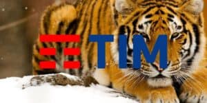 tim