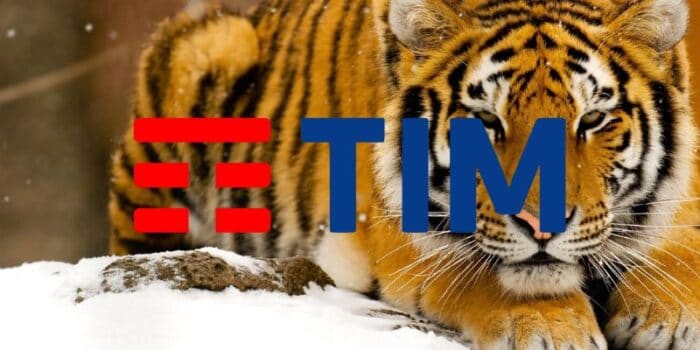 tim