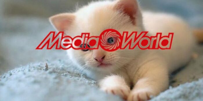 mediaworld