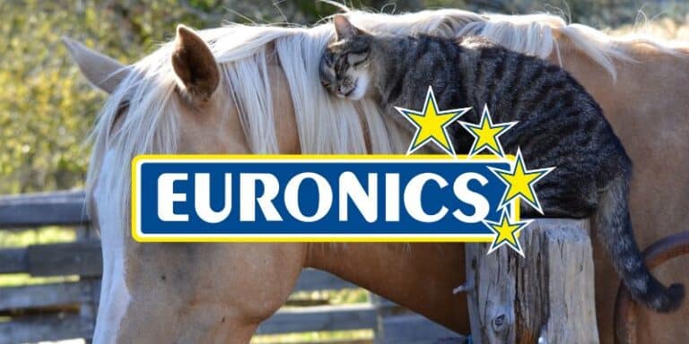 euronics