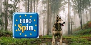 eurospin