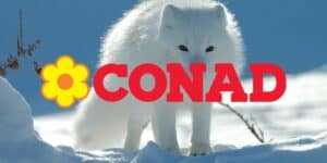 conad