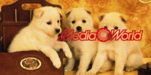 mediaworld